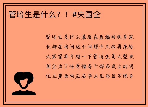 管培生是什么？！#央国企