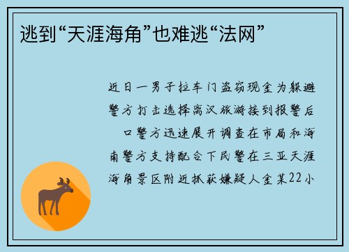 逃到“天涯海角”也难逃“法网”